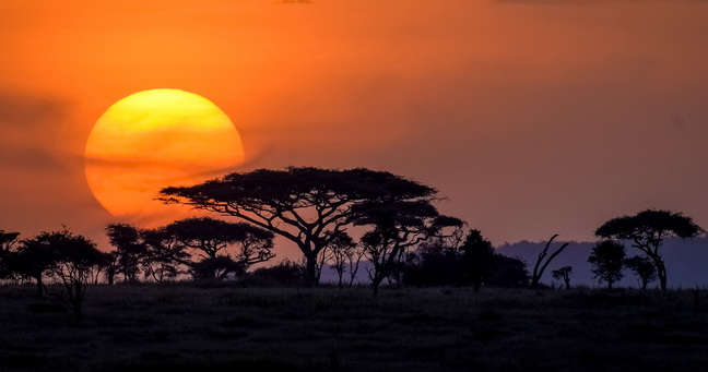 4 Day Serengeti Safari