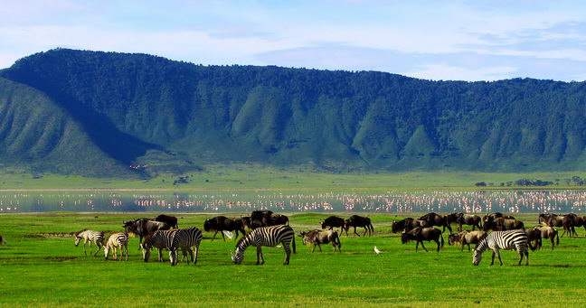 6 Day Tanzania Safari Tour