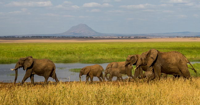 7 Day Safari Tanzania